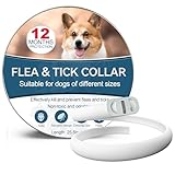 Collar Scalibor 65: Análisis y Comparativa de la Mejor Protección para tu Mascota