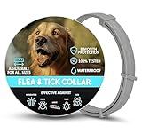 Collar Scalibor: Análisis y Comparativa de los Mejores Collares para Proteger a tu Mascota