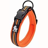 Collar XTRM: Análisis y Comparativa de los Mejores Collares para Mascotas del Mercado