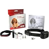 Dogtrace Collar: Análisis y Comparativa de los Mejores Collares GPS para tu Perro
