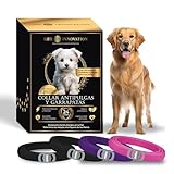 Collares Antiparasitarios para Perros: Análisis y Comparativa de los Mejores Productos del Mercado