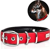 Los Mejores Collares de Cuero para Perros: Análisis y Comparativa de Estilos y Durabilidad