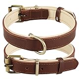Collares de Cuero para Perros: Análisis y Comparativa de los Mejores Modelos del Mercado