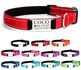 Los Mejores Collares Identificativos para Perros: Análisis y Comparativa de Productos Esenciales para la Seguridad de tu Mascota