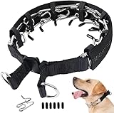 Collares de Pinchos para Perros: Análisis y Comparativa de los Mejores Modelos del Mercado