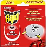 Todo lo que Necesitas Saber sobre la Venta de Hormigas: Comparativa de los Mejores Habitantes para Tu Terrario