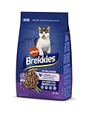 Cómo el Comportamiento de una Gata Recién Esterilizada Influye en la Elección de Productos: Análisis y Comparativa de lo Mejor para tu Mascota