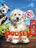 Los Mejores Productos para Perritos: Análisis y Comparativa para Consentir a tu Mejor Amigo