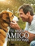 Cómo elegir los mejores productos para mimar a tu mascota: Análisis y comparativa de opciones imprescindibles