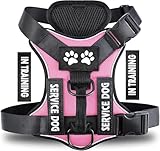 Los Mejores Arnéses para Perros Personalizados: Análisis y Comparativa de Opciónes para Tu Mascota