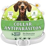 Cómo Saber si Mi Perro Tiene Parásitos: Análisis y Comparativa de los Mejores Productos para Su Salud