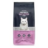 Comparativa de Arenas de Bentonita para Gatos: Opiniones y Recomendaciones de los Mejores Productos del Mercado