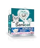 Las Mejores Arenas Aglomerantes Baratas para Gatos: Análisis y Comparativa de Productos Económicos