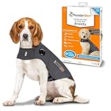 Comparativa de Chalecos Relajantes para Perros: Encuentra el Mejor para la Ansiedad de Tu Mascota