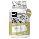 Los Mejores Antihistamínicos para Perros: Análisis y Comparativa de Productos Efectivos