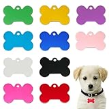 Las Mejores Chapas para Perros Grabadas: Comparativa de Estilo, Seguridad y Funcionalidad