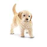 Comparativa de Precios: ¿Cuánto Cuesta un Cachorro de Golden Retriever y Qué Debes Tener en Cuenta?