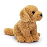 Comparativa de Precios: ¿Cuánto cuesta un Golden Retriever y qué productos son esenciales para su bienestar?