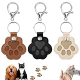 Comparativa de Precios en Guarderías para Gatos: ¿Cuál Es la Mejor Opción para Tu Mascota?