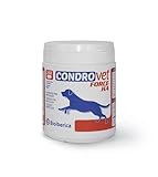 Condrovet Force: Análisis y Comparativa del Mejor Suplemento para la Salud Articular de tu Mascota