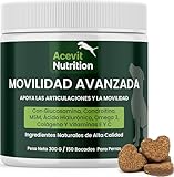 ¿Cuál es el Mejor Colágeno para Perros? Análisis y Comparativa de los Productos Más Efectivos