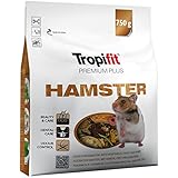 ¿Cuánto cuesta tener un hámster? Análisis de precios y comparativa de los mejores productos para su cuidado