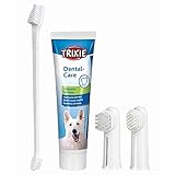 Las Mejores Soluciones para Combatir las Caries en Perros: Análisis y Comparativa de Productos Efectivos