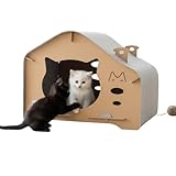 Descubre el Cruce de Gato Montes y Doméstico: Análisis de los Mejores Productos para su Cuidado y Bienestar