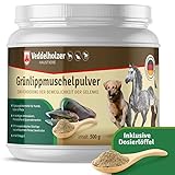 Mejillón Verde para Perros: Análisis y Comparativa de los Mejores Suplementos para la Salud Articular de tu Mascota
