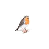 Descubre los Mejores Productos para el Cuidado de Aves en Cantabria: Análisis y Comparativa de Equipos Esenciales para Tus Pájaros