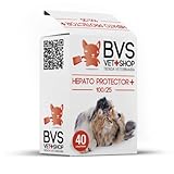 Análisis de Hepato Force Plus: ¿Es el Suplemento Ideal para la Salud Hepática de tu Mascota?