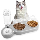 Los Mejores Comederos para Colonias de Gatos: Análisis y Comparativa de Productos Esenciales para el Bienestar Felino
