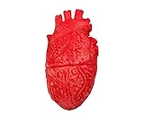 Prevención del Gusano del Corazón en Mascotas: Análisis de los Mejores Productos para Proteger a Tu Compañero Fiel