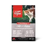 Cat Fit: Análisis y Comparativa de los Mejores Productos para Mantener a Tu Gato Saludable y Activo