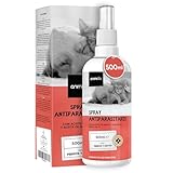 Frontline Spray Antiparasitario para Perros y Gatos: Análisis y Comparativa de Efectividad y Beneficios
