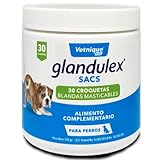 Análisis de Glandulex para Perros: ¿Es el Suplemento Ideal para la Salud de tu Mascota?