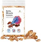 Análisis de Hojas de Catappa: El Mejor Suplemento Natural para tu Acuario y sus Beneficios en el Cuidado de tus Mascotas