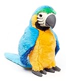 Guacamayos en Venta Baratos: Análisis y Comparativa de las Mejores Oportunidades para Adoptar Tu Mascota Exótica