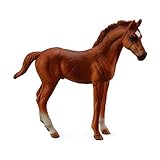 ¿Cuánto Cuesta un Pura Sangre Caballo? Análisis y Comparativa de las Mejores Razas de Caballos para Propietarios de Mascotas