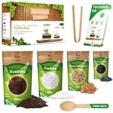Guía Completa: Análisis y Comparativa de los Mejores Materiales para Hacer un Terrario Ideal para tus Mascotas