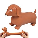 Todo lo que Debes Saber sobre el Precio de los Dachshunds: Comparativa de Mejores Productos y Cuidados