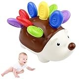 Los Mejores Juguetes para Erizos: Análisis y Comparativa de Productos para el Bienestar de tu Mascota