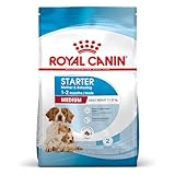 Análisis Comparativo: ¿Por qué Elegir Royal Canin Starter Medium para tu Cachorro?