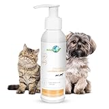Guía Completa: ¿Dónde Comprar Clorhexidina para Gatos? Análisis y Comparativa de los Mejores Productos del Mercado