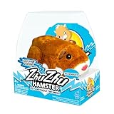 “¿Dónde venden hámsters? Guía completa y comparativa de las mejores tiendas y productos para tus pequeñas mascotas”
