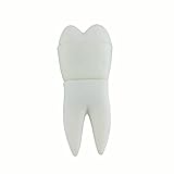 Cuida la Sonrisa de tu Mascota: Análisis de los Mejores Productos para la Salud Dental en Clínicas como Clínica Dental Vida Lleida