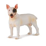 Guía Completa: Análisis de los Mejores Productos para Bull Terrier Mini y sus Precios