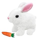 Los Mejores Productos para Conejos Toy Adultos: Análisis y Comparativa de Accesorios Esenciales