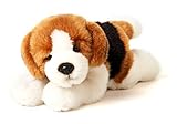 Guía Completa para Comprar un Beagle Cachorro: Análisis y Comparativa de los Mejores Productos para su Cuidado