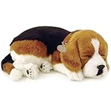 Guía Completa para Adoptar un Beagle Cachorro: Análisis de los Mejores Productos para su Cuidado y Bienestar